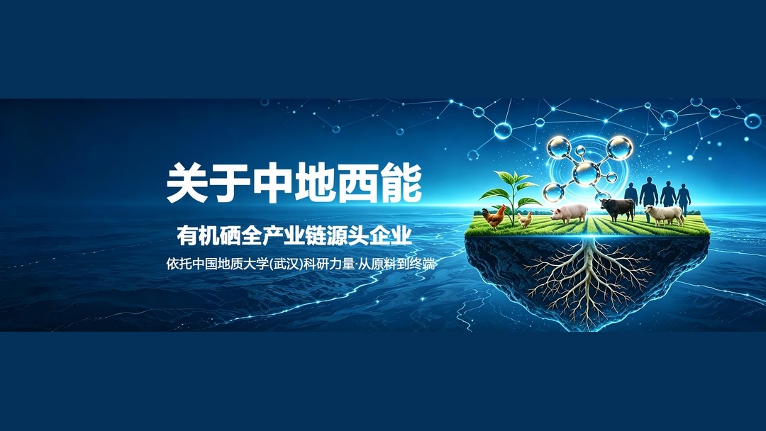 武汉中地西能是做什么的?实力靠谱吗?