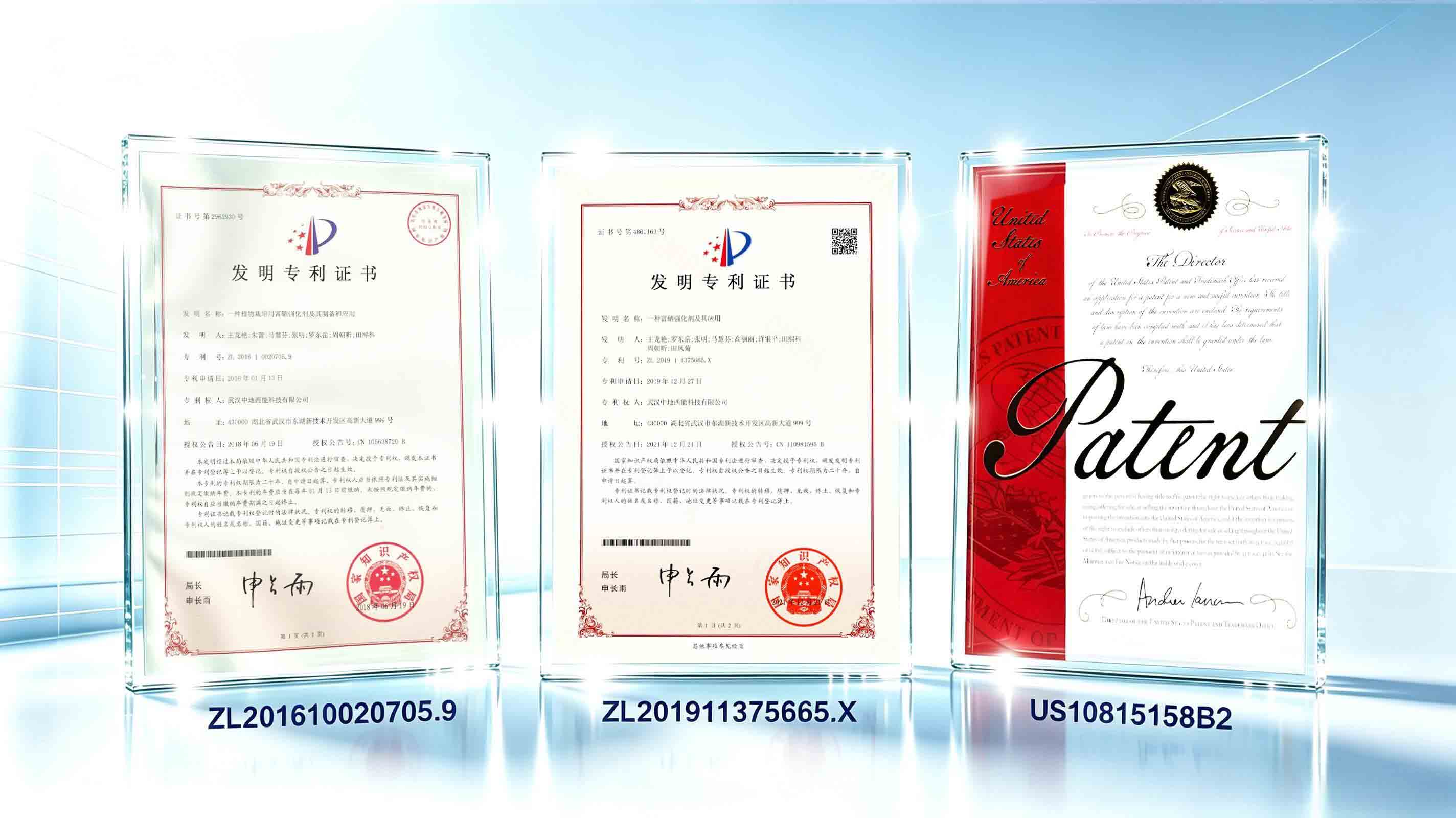 3项国内外发明专利