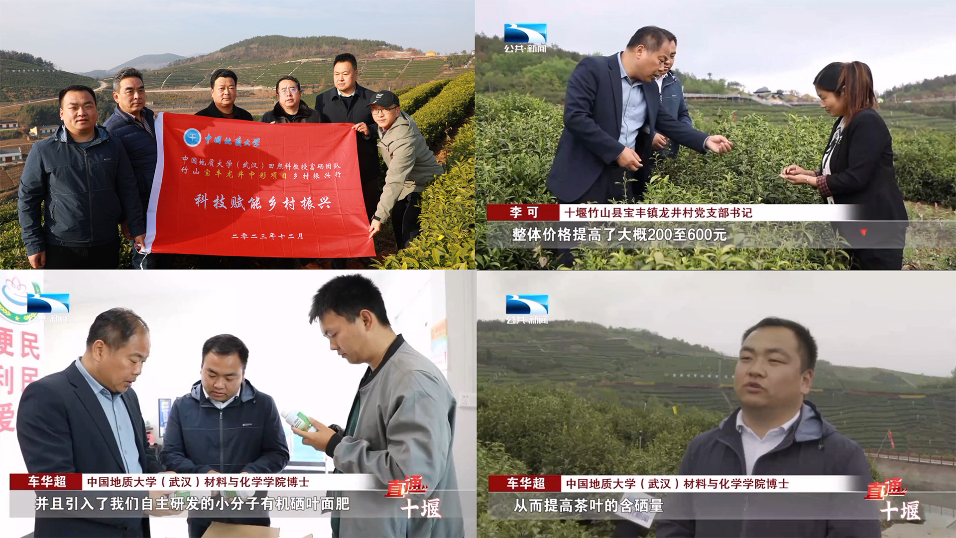 竹山首款富硒茶