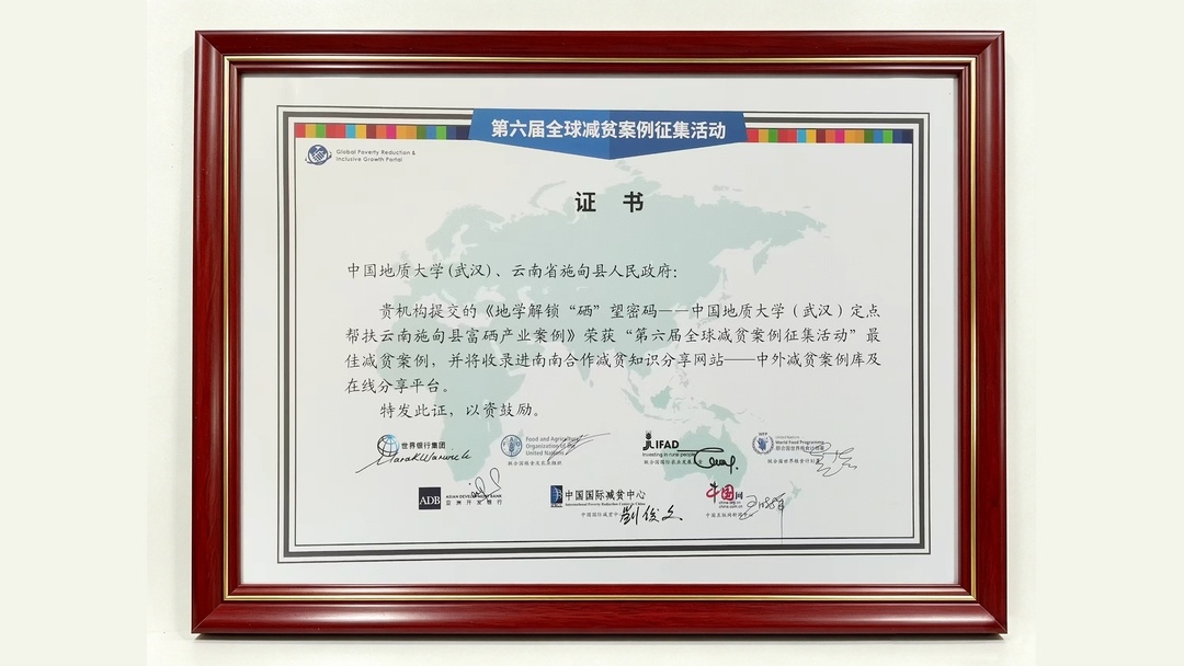 云南施甸减贫案例获奖证书 联合国粮农组织
