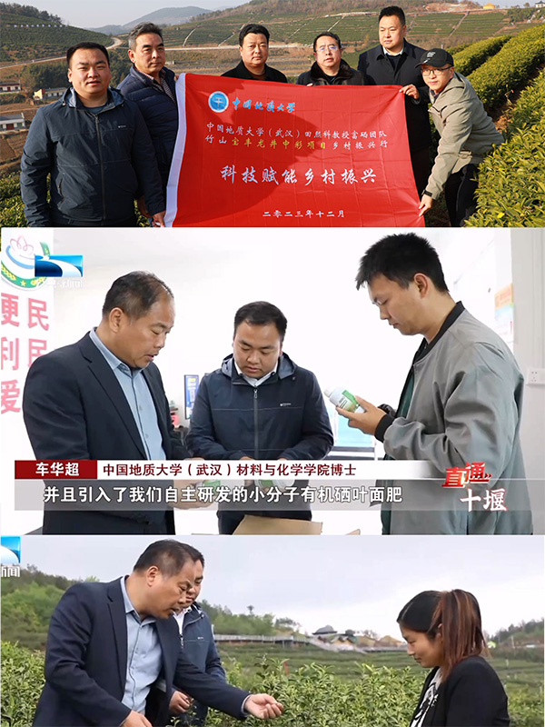 竹山高山富硒茶产业园